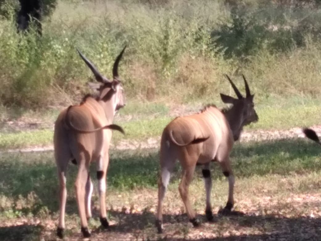 Bandia Reserve and Somone Lagoon with Lunch