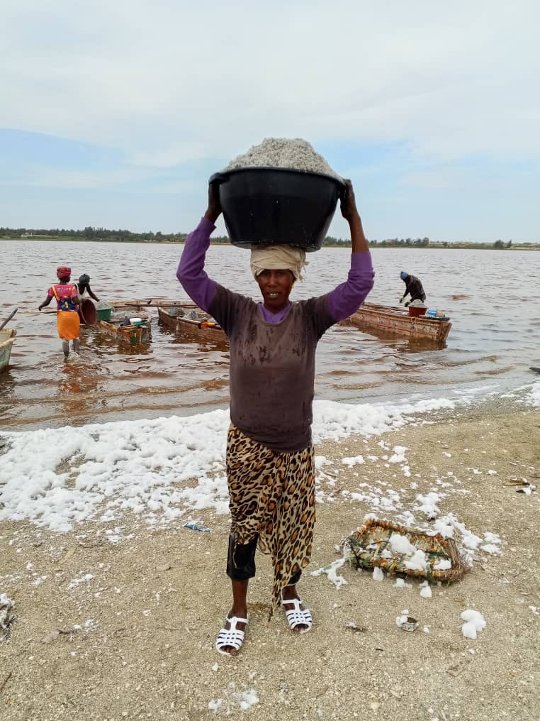 Pink Lake and Turtle Village with Lunch — photo 6