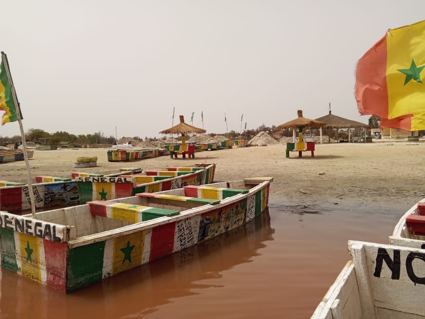 Pink Lake and Turtle Village with Lunch — photo 9