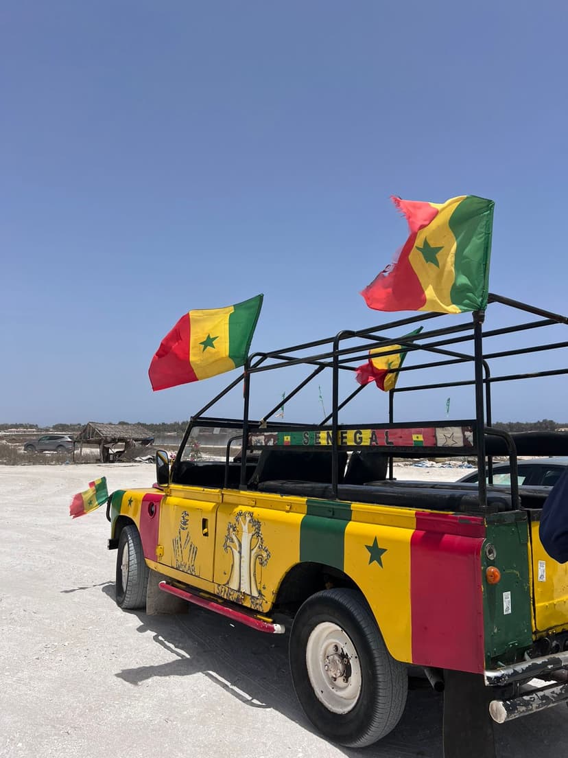 Pink Lake and Turtle Village with Lunch — photo 14