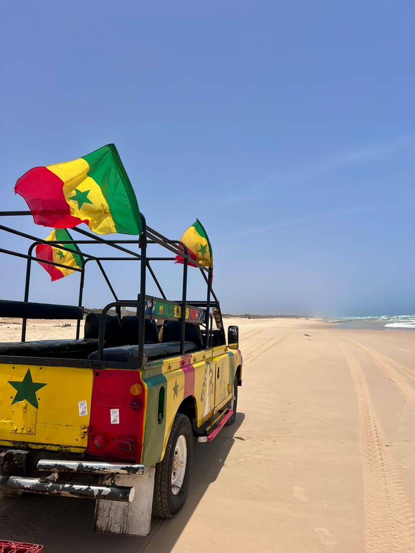 Pink Lake and Turtle Village with Lunch — photo 17