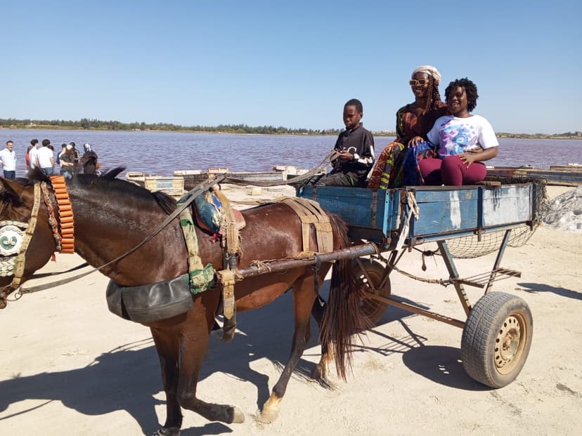 Pink Lake Discovery — photo 6