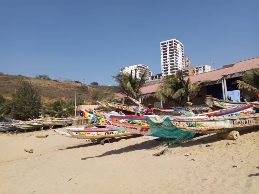 Destination Pink Lake and Turtle Village with Lunch — Senegal Premium Tour