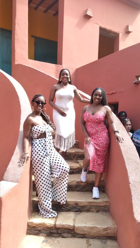 Combined Tour: Gorée Island and Pink Lake — photo 3