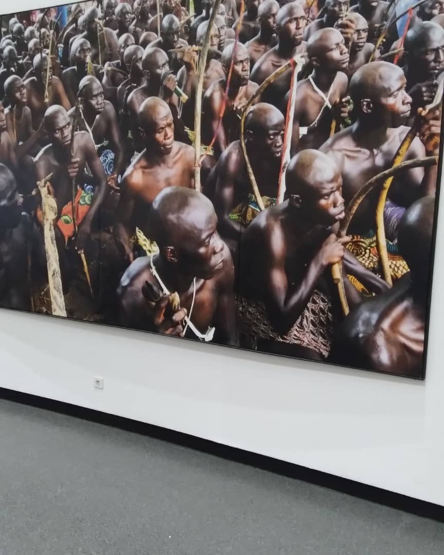 Goree Island with Lunch — photo 4