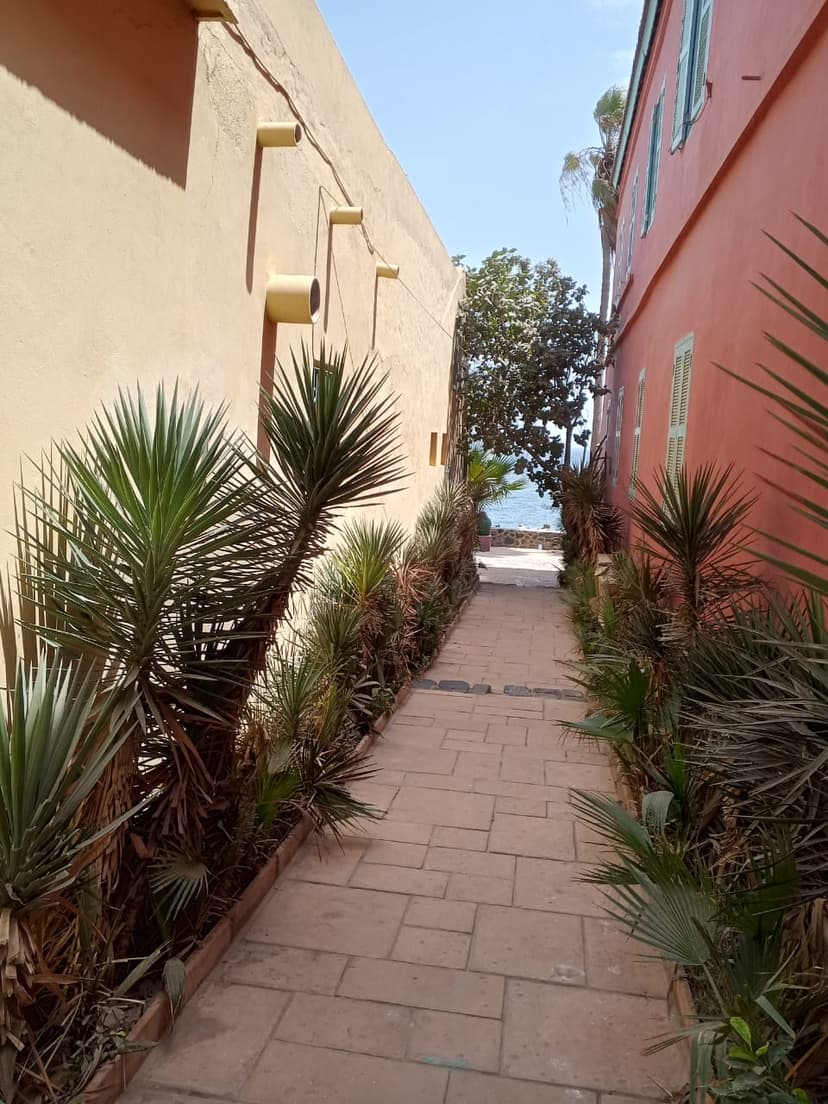 Goree Island with Lunch — photo 6