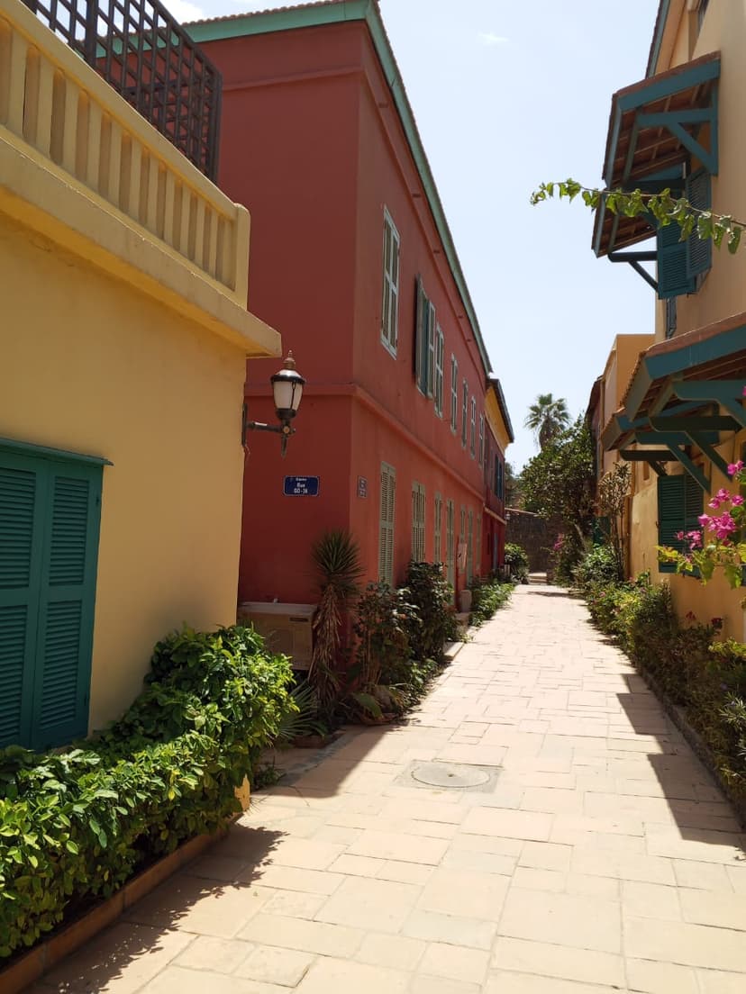 Goree Island with Lunch — photo 7