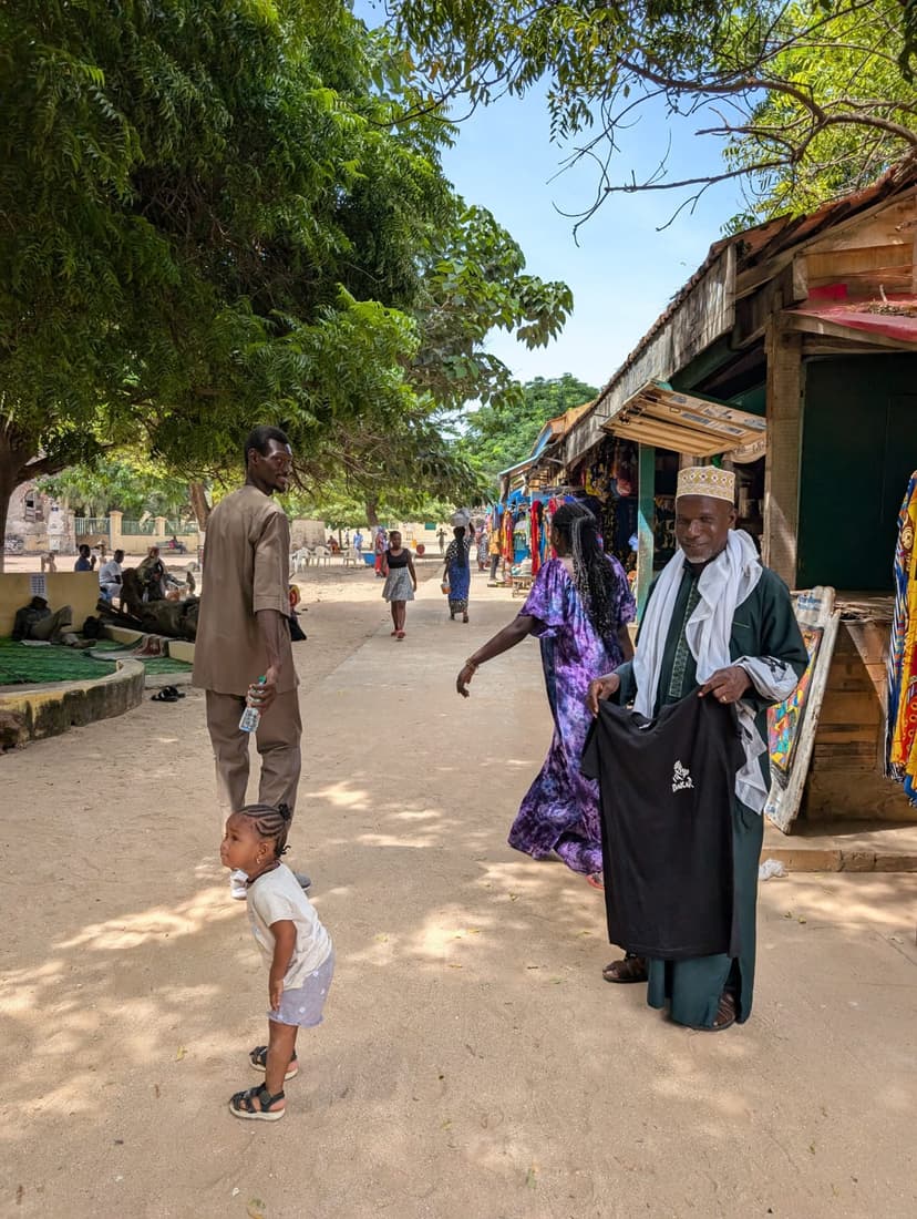 Combined Tour: Gorée Island and Pink Lake — photo 7