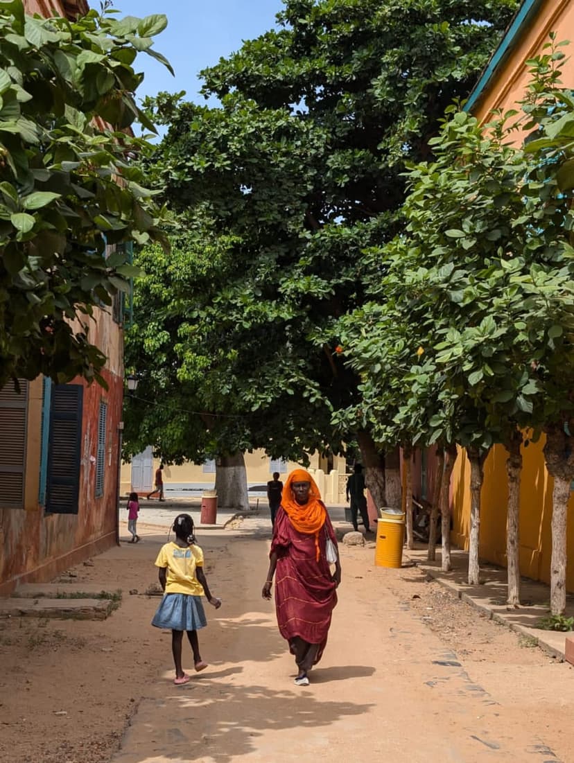 Combined Tour: Gorée Island and Pink Lake — photo 8