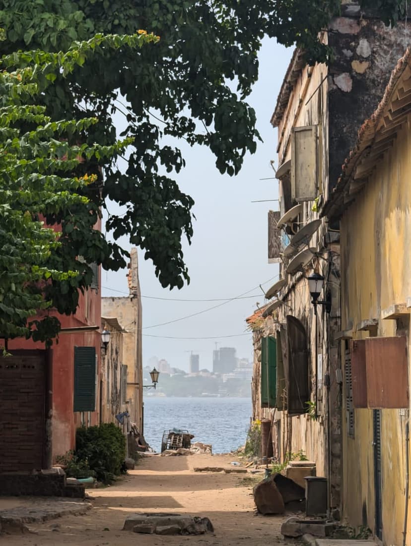 Combined Tour: Gorée Island and Pink Lake — photo 9