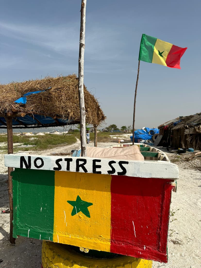 Combined Tour: Gorée Island and Pink Lake — photo 14